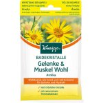 Kneipp Arnika sůl do koupele 60 g – Zboží Mobilmania