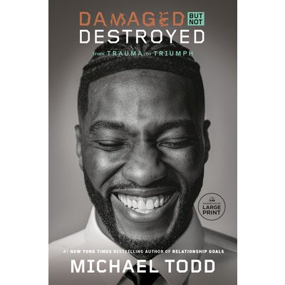 Damaged but Not Destroyed: From Trauma to Triumph Todd MichaelPaperback – Hledejceny.cz