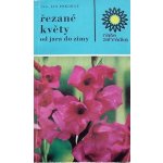 Řezané květy od jara do zimy – Sleviste.cz