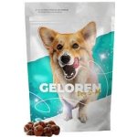 Geloren S-M kloubní výživa pro malé a střední psy 180 g 60 ks – Sleviste.cz