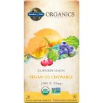 Garden of Life Mykind Organics Chewable Vegan D3 s příchutí maliny a citrónu 30 tablet – Hledejceny.cz