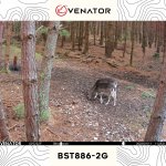 Venator BST886-2G – Zbozi.Blesk.cz