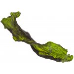Marp Holistic - Kelpa 100 g – Zboží Mobilmania