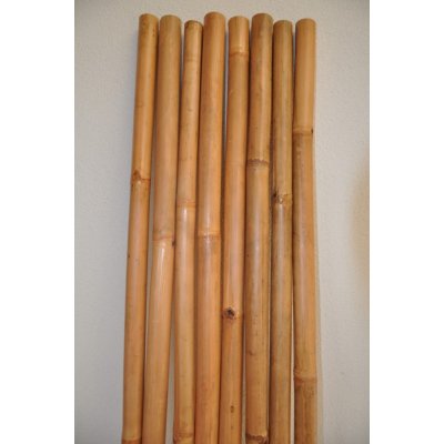 Axin Trading s.r.o. Bambusová tyč 5-6 cm, délka 2 metry - lakovaná medová – Zbozi.Blesk.cz