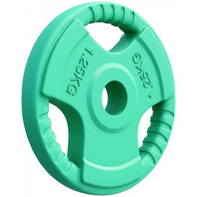 Gorilla Sports litina 1,25 kg 30/31 mm – Hledejceny.cz