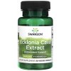 Doplněk stravy Swanson Ecklonia Cava Extract 53 mg 30 kapslí
