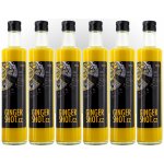 Gingershot Ginger Shot 5 x 0,5 l a 0,5 l – Sleviste.cz