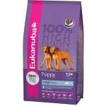 Eukanuba Puppy & Junior Large Breed 3 kg – Hledejceny.cz