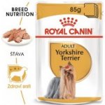 Royal Canin Yorkshire Adult 12 x 85 g – Zboží Mobilmania