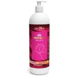 Aiko Šampon pro štěňata s vitaminem E 250 ml – HobbyKompas.cz