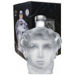 David vodka 40% 0,7 l (karton) – Hledejceny.cz