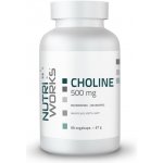 Choline 500 mg 90 kapslí – Hledejceny.cz