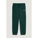 GANT GRAPHIC SWEATPANTS TARTAN GREEN – Zboží Mobilmania