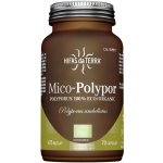 Hifas da Terra Mico-Polypor 70 kapslí Bio – Hledejceny.cz