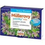 DR. MÜLLER Müllerovy pastilky mix bez cukru 3 druhy po 12 kusech – Hledejceny.cz
