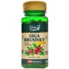 Doplněk stravy VitaHarmony Giga Brusinky 7.700 mg 150 tablet