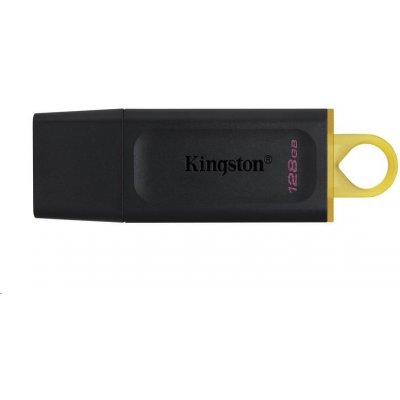 Kingston DataTraveler Exodia 128GB DTX/128GB – Zboží Živě