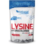 Natural Nutrition Lysine 400 g – Hledejceny.cz