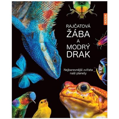 Rajčatová žába a modrý drak