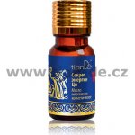 TianDe Kosmetický masážní olej "Tajemství energie Čchi" 10 ml – Zboží Dáma
