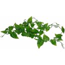 Lucky Reptile Ivy Vine 200 cm