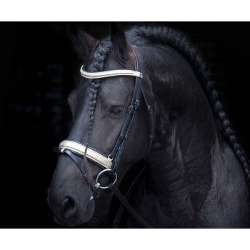 Harrys Horse Uzdečka Cayman černá
