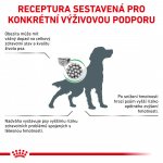 Royal Canin Veterinary Diet Dog Satiety 12 kg – Hledejceny.cz