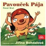 Pavouček Pája - Šrut Pavel – Hledejceny.cz