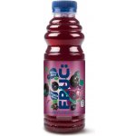 Fructal Fruc černý rybíz 0,5 l – Zboží Mobilmania