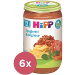 HiPP BIO Boloňské špagety 6 x 250 g – Zboží Dáma