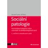 Sociální patologie