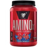 BSN Amino-X 1010 g – Hledejceny.cz