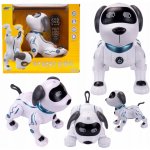 RobotDog Pes na dálkové ovládání modrý RCobchod RC_312078 – Hledejceny.cz