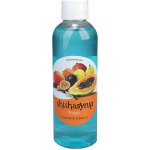 ShishaSyrup Melasa Tropic 100 ml – Zboží Dáma