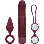 Loveline Sexplore - sada erotických pomůcek pro ženy - 3 kusy vínová – Zbozi.Blesk.cz