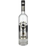 Beluga Noble 40% 0,7 l (holá láhev) – Zboží Dáma