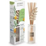 Esteban Paris Parfums aroma difuzér Nature Aloe Flower Orange & Green Tea 100 ml – Hledejceny.cz