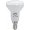 Žárovka TESLA LED žárovka Reflektor R50, E14, 5W, 6500 K studená bílá