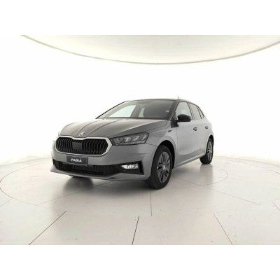 Skoda Fabia 1.0 MPI 59 kW – Sleviste.cz