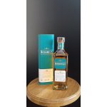 Bushmills 10y 40% 0,7 l (tuba) – Zbozi.Blesk.cz