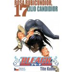 Bleach 17 – Hledejceny.cz