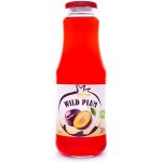 Georgian Švestkový 100% džus Nectar 1 l – Zbozi.Blesk.cz