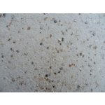 King Vogel zand 20Kg – Sleviste.cz