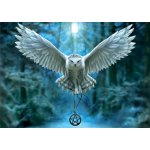 Educa Probuď svoji magii 500 dílků – Sleviste.cz