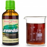 Bylinné kapky Pavlovy kapky Levandule tinktura 50 ml – Hledejceny.cz