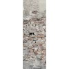 Tapety AG design FTNVL-3708 vliesová fototapeta Grunge Wall rozměry 90 x 270 cm