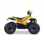 LAMAX eBumbleBee ATV60M | Zboží Auto