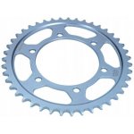 JT Sprockets JTR 1876-43 | Zboží Auto