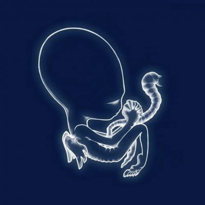 Sigur Ros - Agaetis Byrjun 2LP – Hledejceny.cz