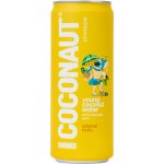 Coconaut Kokosová voda s ananasovou šťávou 320 ml – Hledejceny.cz